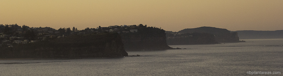 View from Turimetta Headland